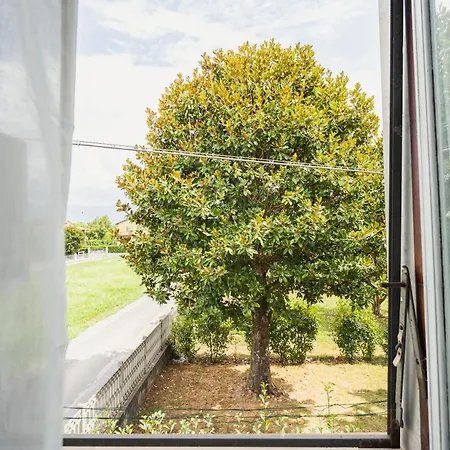 & 5 Terre Cozy Flat Daire