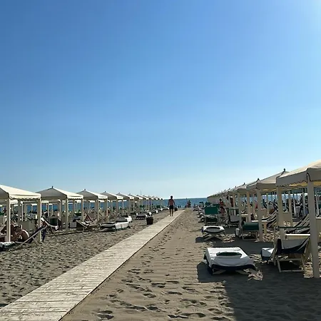 公寓 & 5 Terre Cozy Flat 阿梅利亚